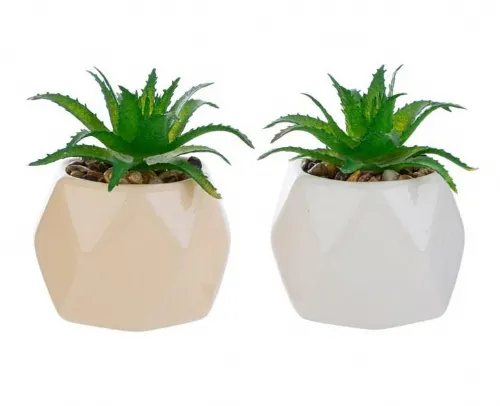 Bomboniera con vasetto in porcellana e piantina artificiale, colori assortiti bianco e rosa, confezione con confetti e shopper.