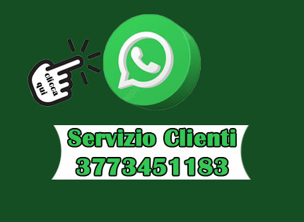 whatsapp 2